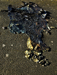 Set On Fire And Melted Into The Road