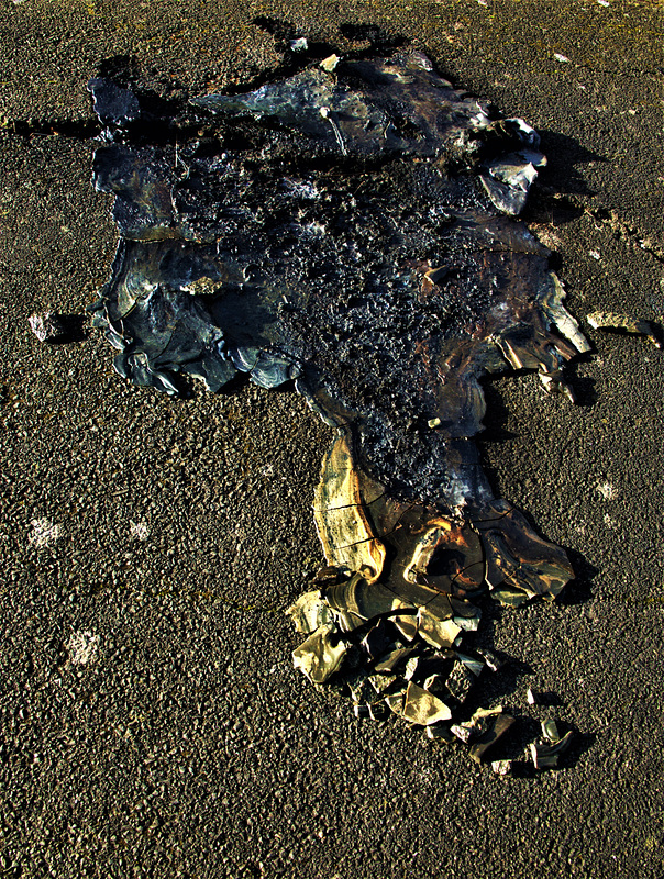 Set On Fire And Melted Into The Road