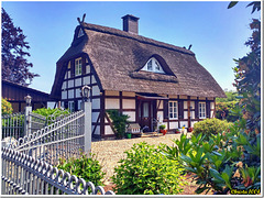 Houses of the North (of Germany) - HFF