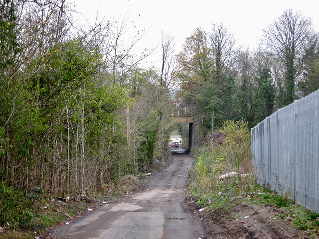 Bridleway leading to the bridge over the disused South Staffs Railway