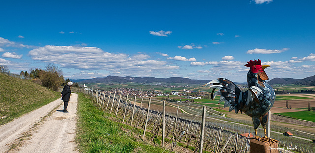 Blick ins Klettgau