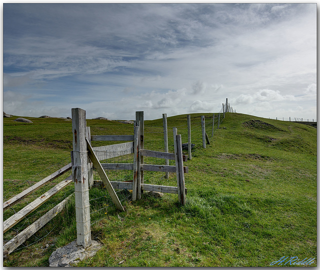 White Strand fence