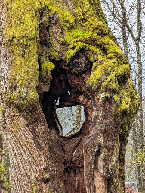 observatoire naturel