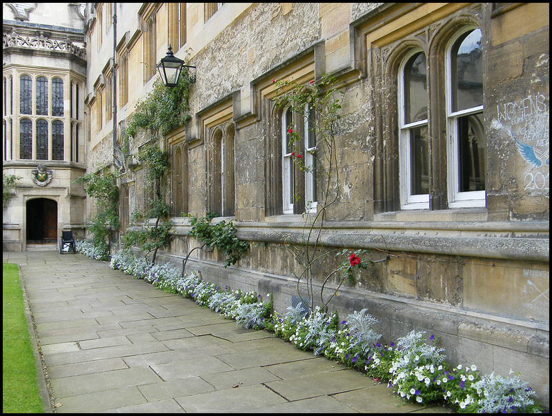 quadrangle walk