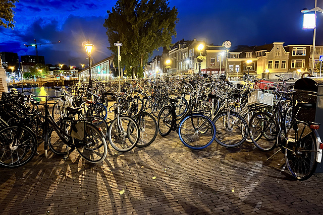 Bicycle wall