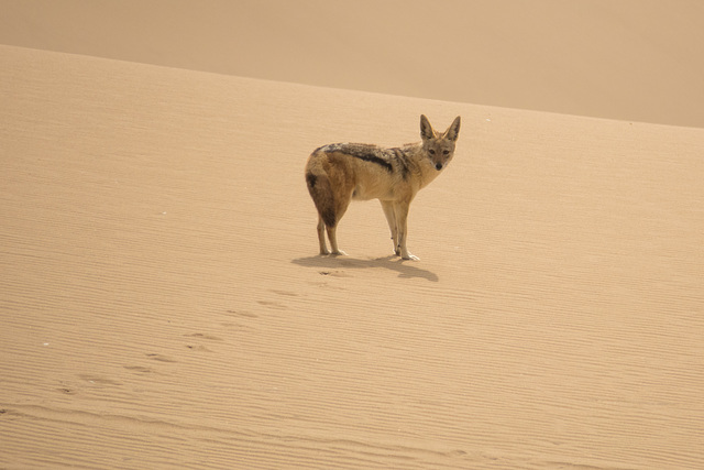 Namibia-0373