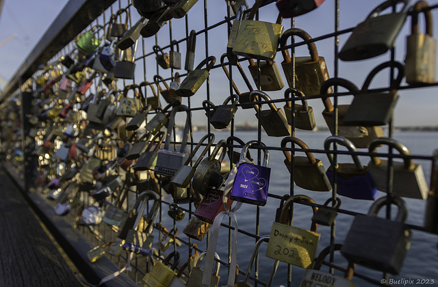 Fence at Lonsdale Quay ... P.i.P. (© Buelipix)