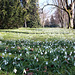 Frühling im Lindenhofpark