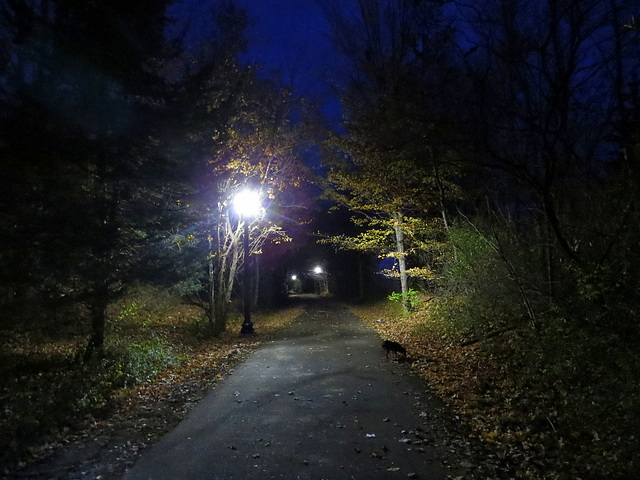 And our first walk on the well lit trail.