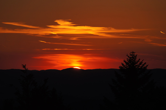 Let's call it a day! Let's call it a day!