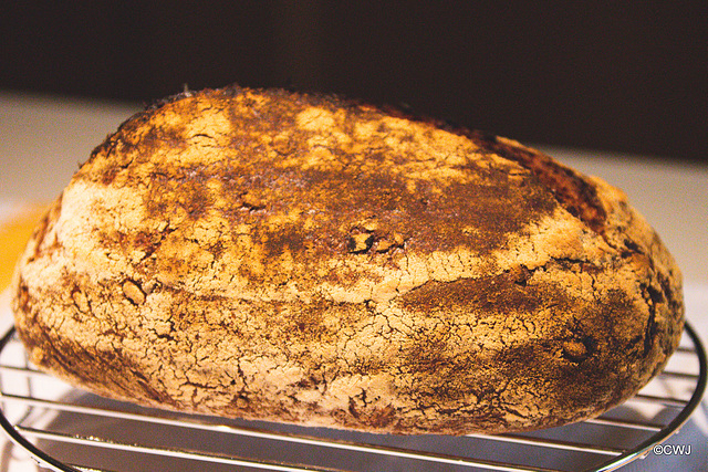 Getting the hang of sourdough bread baking...