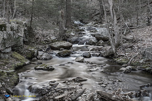 Rhinehart Brook at the Hacklebarney State Park