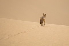 Namibia-0374