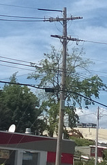 MECo 7.6/13.2kV Y pole