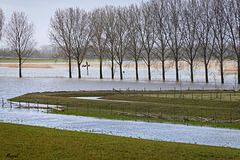 Gisteren liep ik hier nog met Pimmie