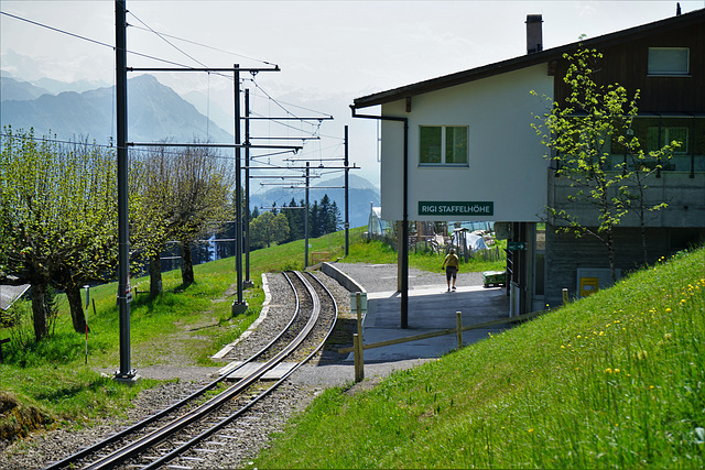 Rigi Staffelhöhe   20.05.22