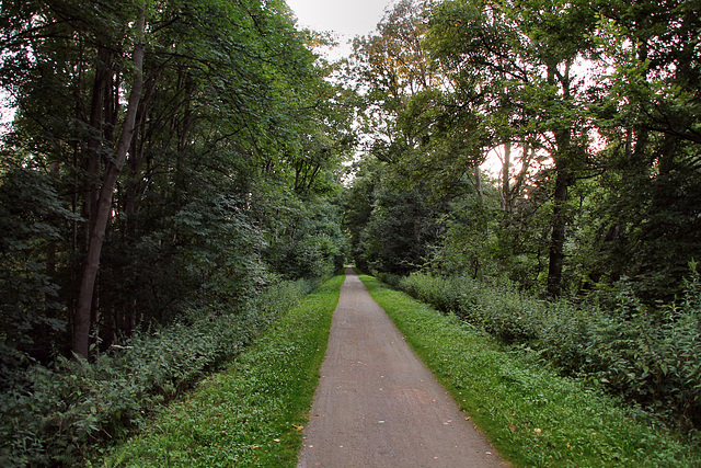 Radweg auf der ehem. Zechenbahn Ewald (Herten) / 25.07.2022