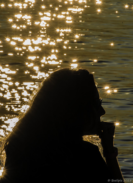 Sonnenuntergang am Burrard Dry Dock Pier (© Buelipix)