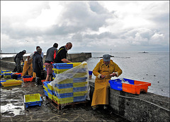 les hommes préparent le poisson pour le repas ,,