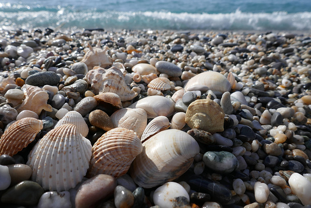 a bit of sea for Pam