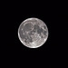 The Moon of November 15, 2016 at 00:51:03 hours photographed at 45°32'58,40"N / 8°03'50,23"E