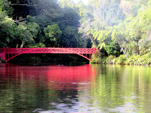 #47 - Eunice Perkins - Pukekura Park Bridge -24̊ 2points