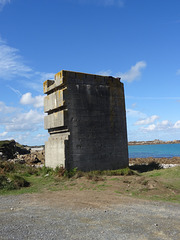 wg (1456)