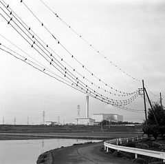 Cables with the bird-repelling devices