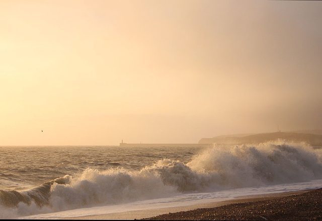 Seaford Bay - 1.3.2016