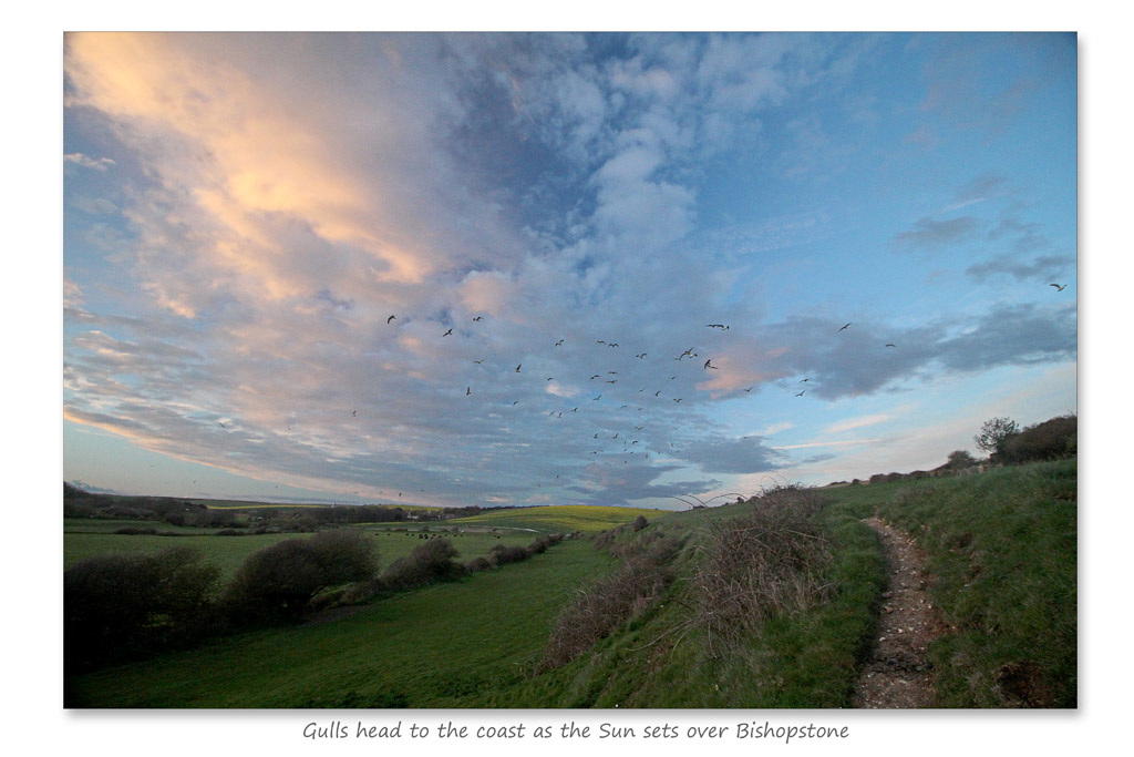 Bishopstone sunset - 29.4.2016