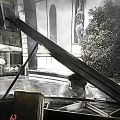 Incontri in Piazza Cavour: il Pianista