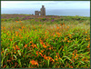 Wheal Coates Tin Mine