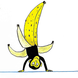 banansimio