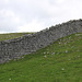 Carnau Gwynion old wall