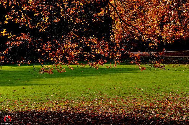 Comme un gilet qu'on boutonne…