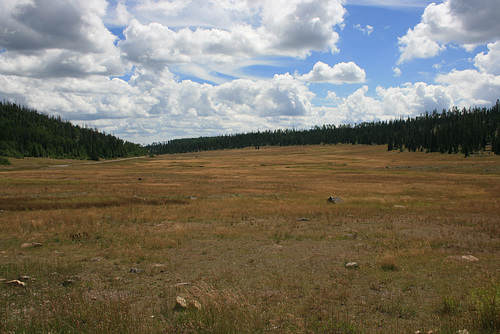 IMG 9485
