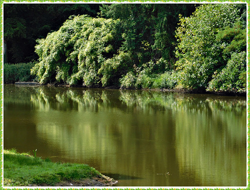 Reflets extérieurs au parc du château: Le Rocher Portail