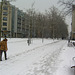 234 Die Hauptstrasse in Dresden im Winter