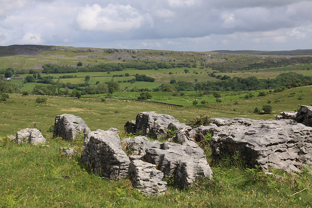 Carnau Gwynion