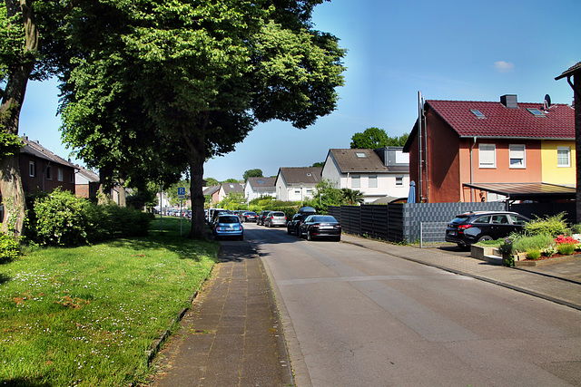 Hölderlinstraße (Bottrop-Fuhlenbrock) / 11.05.2024