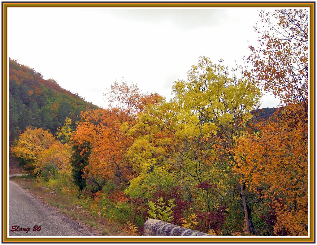 Couleurs d'automne (1)