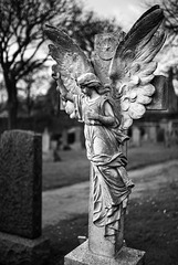 Angel, Saint Andrews Eastern Cemetery