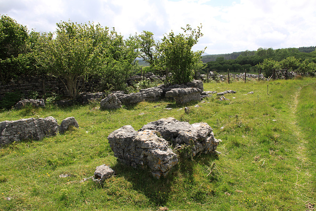 Carnau Gwynion