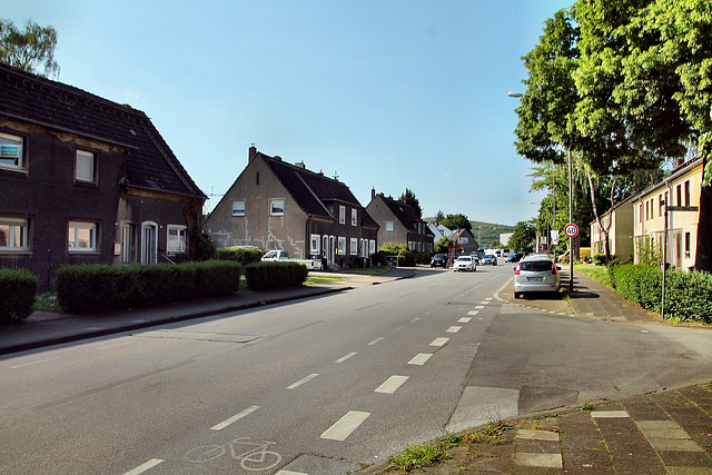 Im Fuhlenbrock (Bottrop-Fuhlenbrock) / 11.05.2024