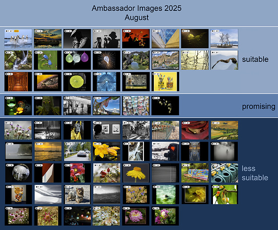 Ambassador Images 2025, August