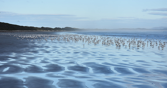 autumn at the beach