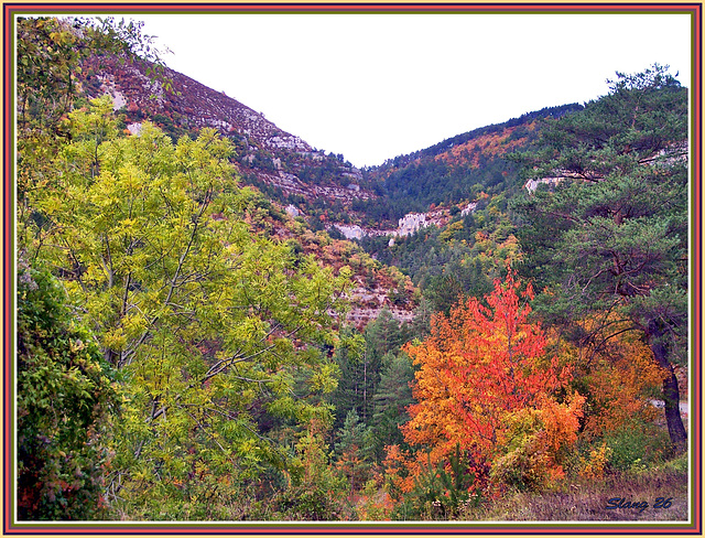 Couleurs d'automne (2)