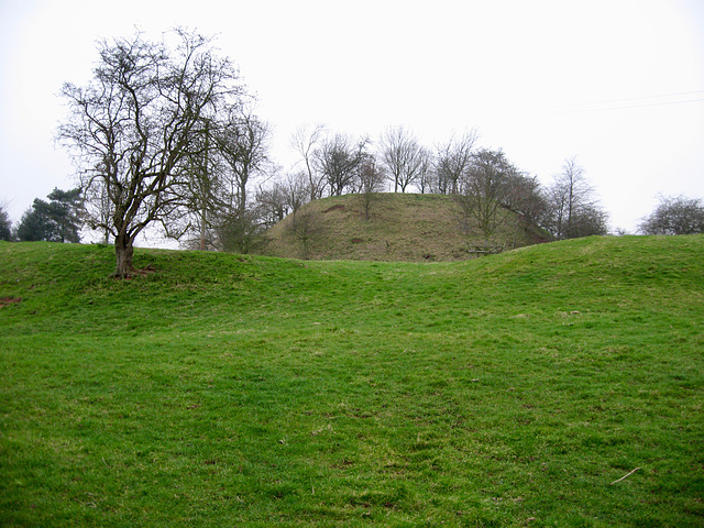 Motte and Bailey castle at Seckington