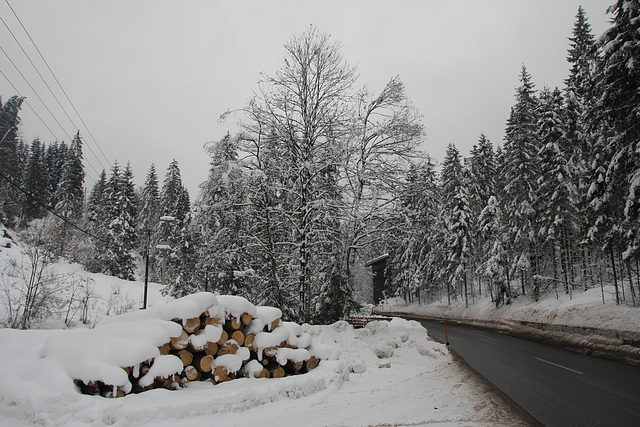 Von Wörgl zur Wildschönau