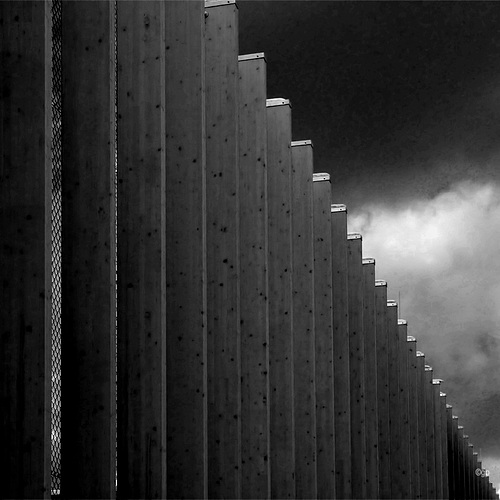 Dark Fence